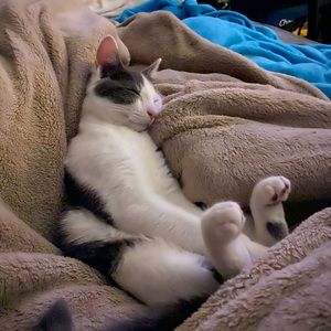 Meet your Posher, Ritchie